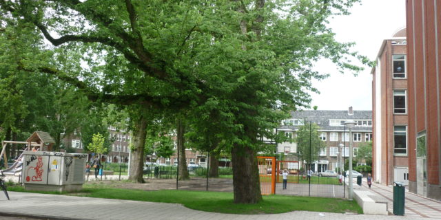 Herplant met Perzische IJzerhoutboom