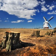 Bomen langs N-wegen moeten blijven