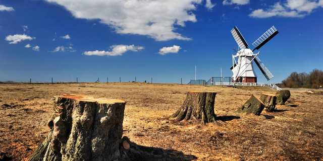 Bomen langs N-wegen moeten blijven