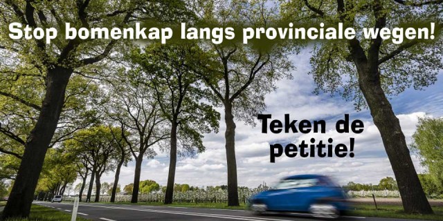 Stop bomenkap op provinciale wegen! Teken de petitie!